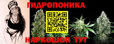 наркотики Камышлов