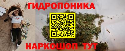 гидра Кандалакша