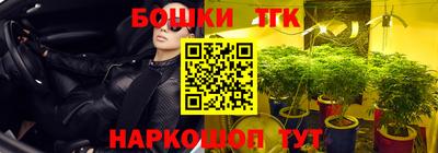 гидра Кандалакша