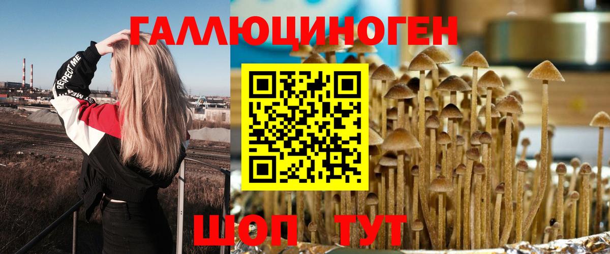 Краснознаменск  Псилоцибиновые грибы мухоморы  Вход с VPN 